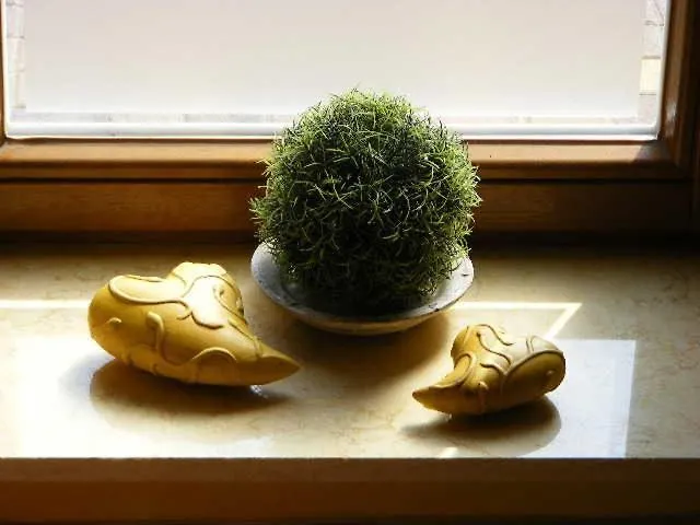 Westfalen Kuensebeck